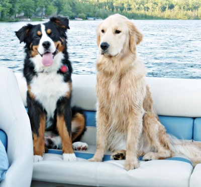 T=Bone and Charley.1